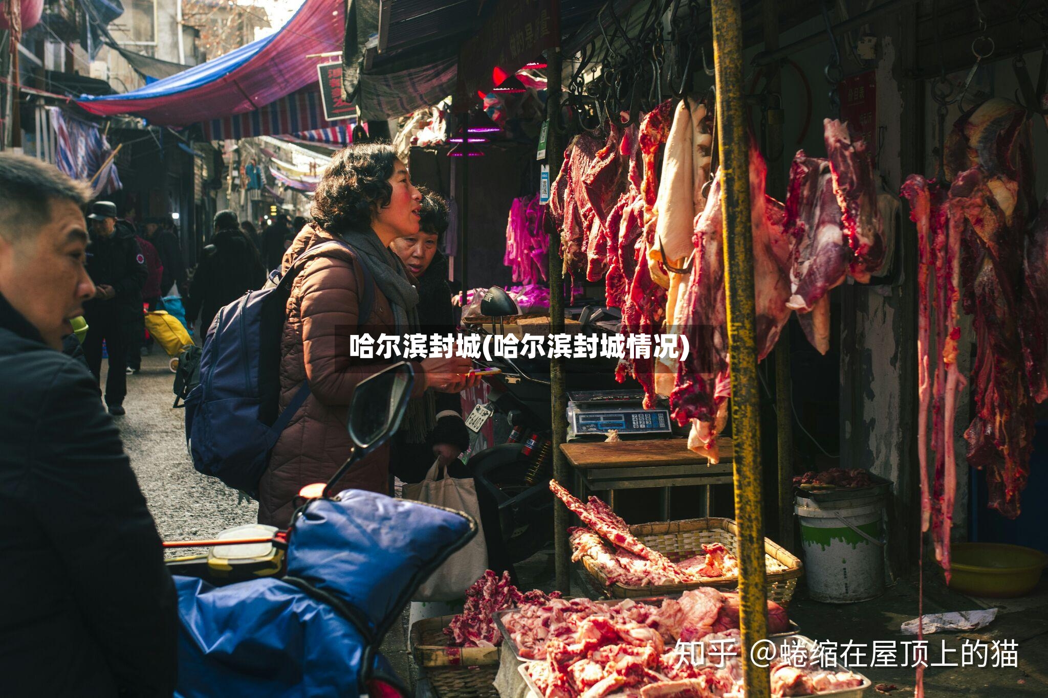 哈尔滨封城(哈尔滨封城情况)