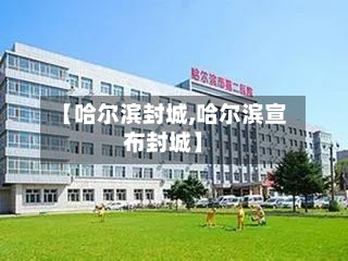 【哈尔滨封城,哈尔滨宣布封城】-第3张图片