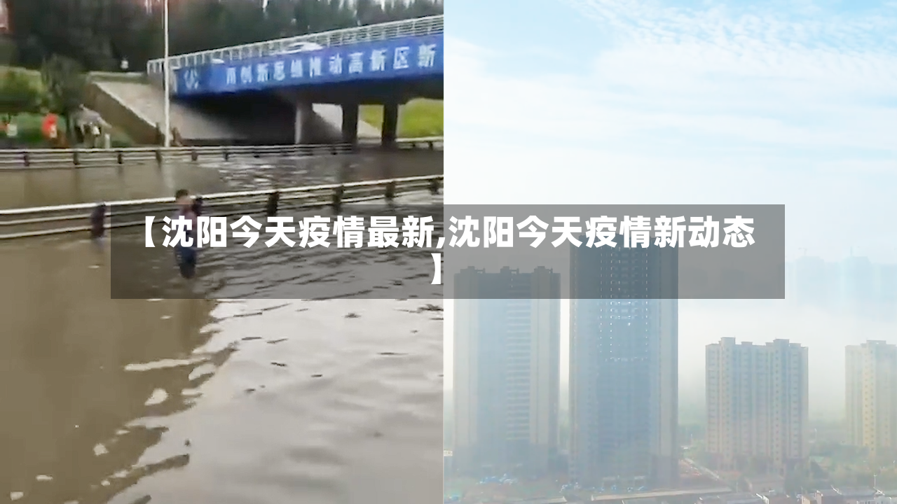【沈阳今天疫情最新,沈阳今天疫情新动态】-第2张图片