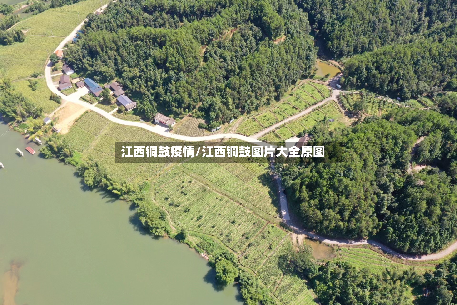 江西铜鼓疫情/江西铜鼓图片大全原图