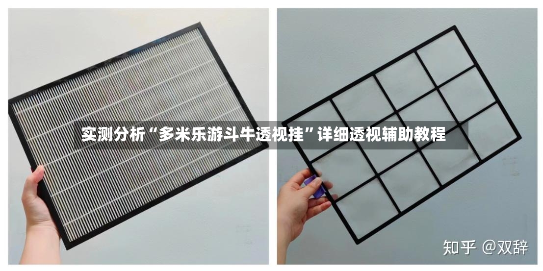 实测分析“多米乐游斗牛透视挂”详细透视辅助教程