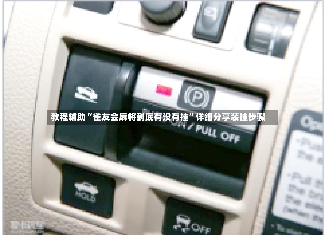 教程辅助“雀友会麻将到底有没有挂	”详细分享装挂步骤-第2张图片