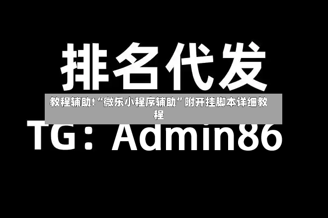 教程辅助!“微乐小程序辅助”附开挂脚本详细教程