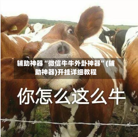 辅助神器“微信牛牛外卦神器	”(辅助神器)开挂详细教程-第2张图片