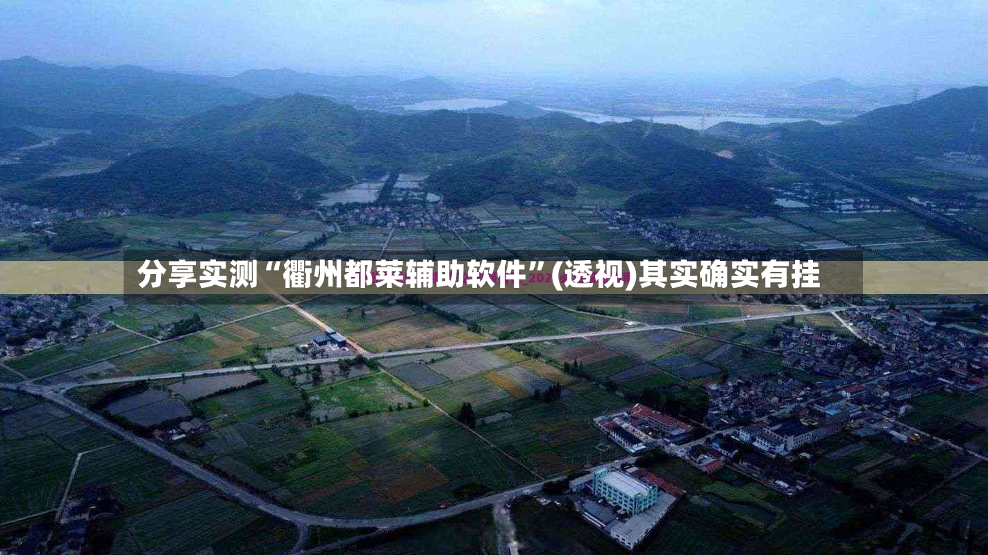 分享实测“衢州都莱辅助软件	”(透视)其实确实有挂-第2张图片