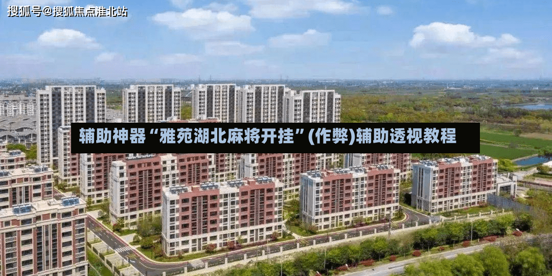 辅助神器“雅苑湖北麻将开挂”(作弊)辅助透视教程-第2张图片