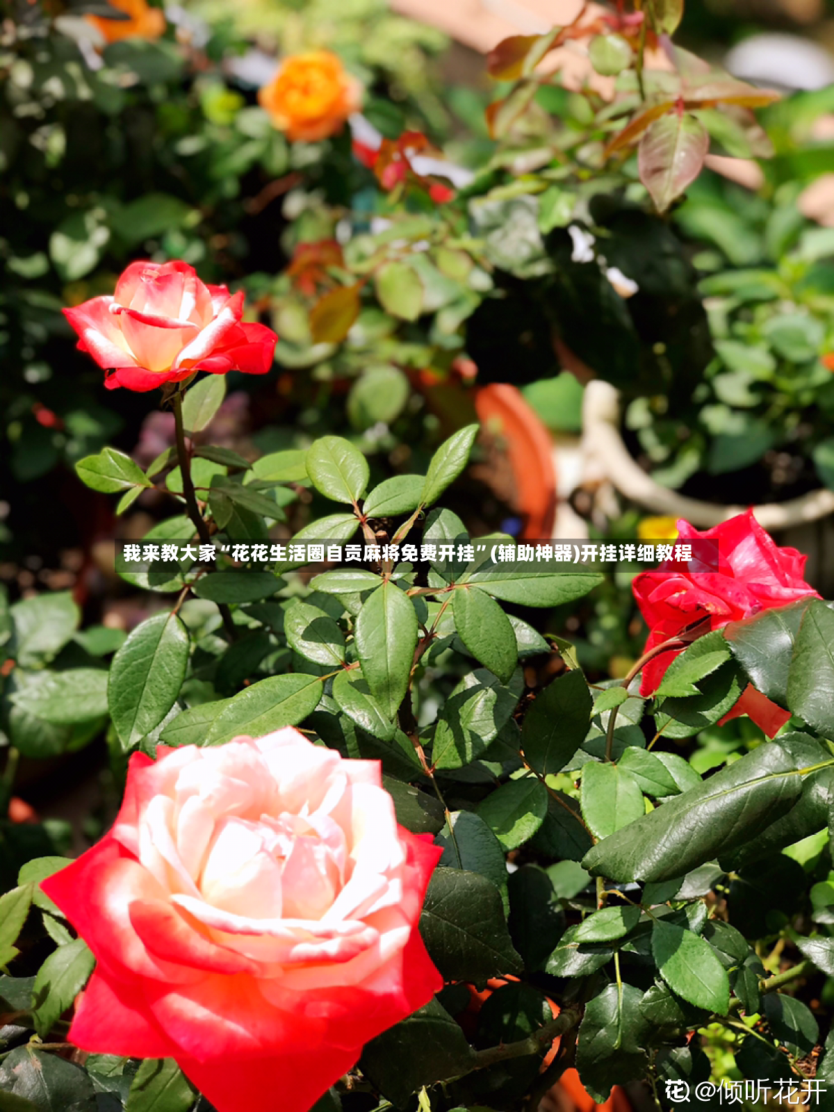 我来教大家“花花生活圈自贡麻将免费开挂	”(辅助神器)开挂详细教程-第2张图片