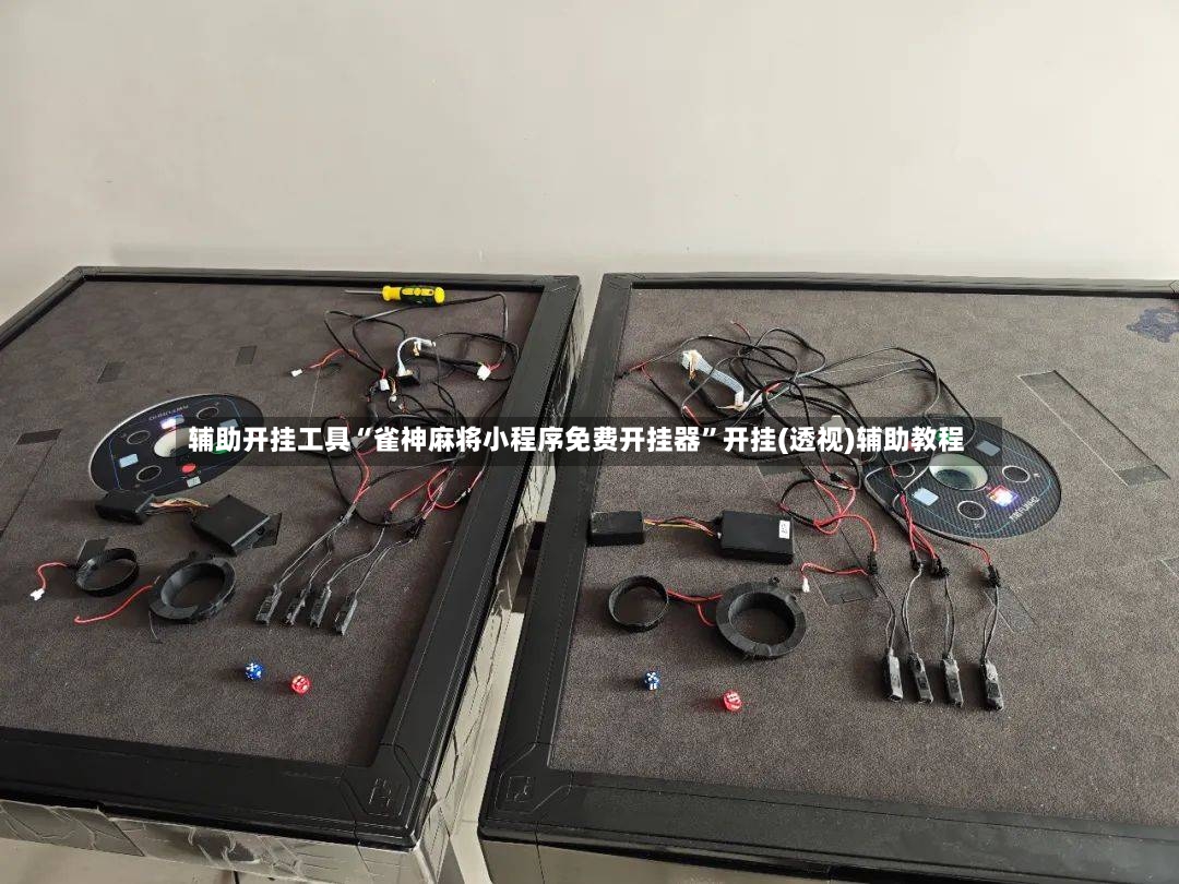 辅助开挂工具“雀神麻将小程序免费开挂器	”开挂(透视)辅助教程-第2张图片