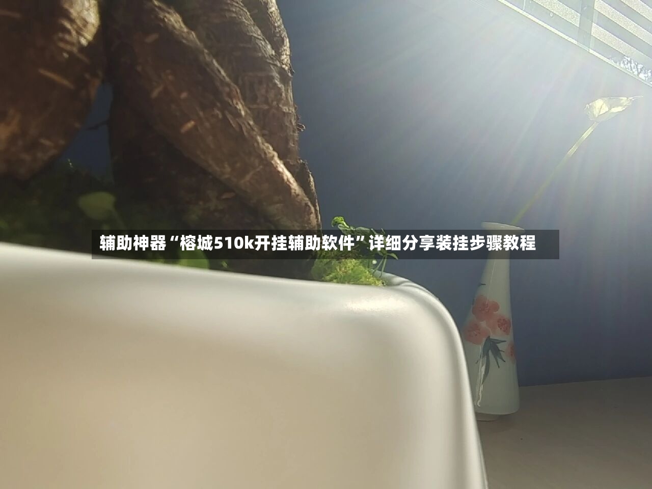 辅助神器“榕城510k开挂辅助软件”详细分享装挂步骤教程-第3张图片