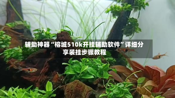 辅助神器“榕城510k开挂辅助软件	”详细分享装挂步骤教程-第2张图片
