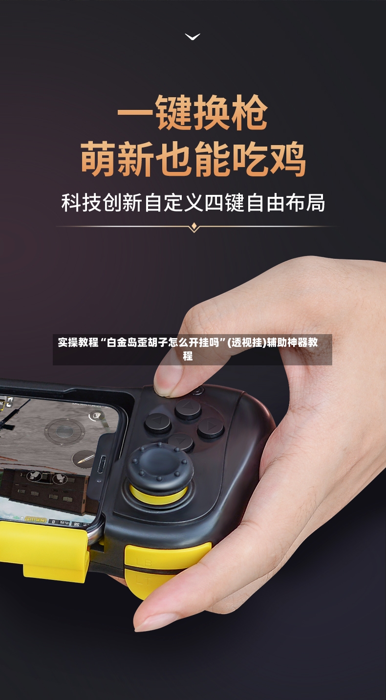 实操教程“白金岛歪胡子怎么开挂吗”(透视挂)辅助神器教程-第2张图片