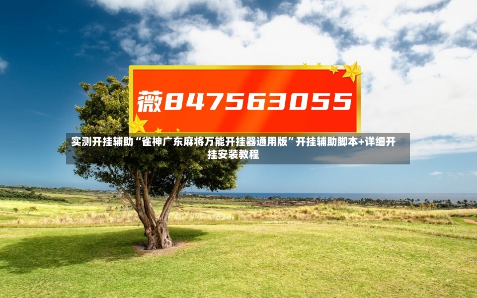 实测开挂辅助“雀神广东麻将万能开挂器通用版”开挂辅助脚本+详细开挂安装教程-第2张图片