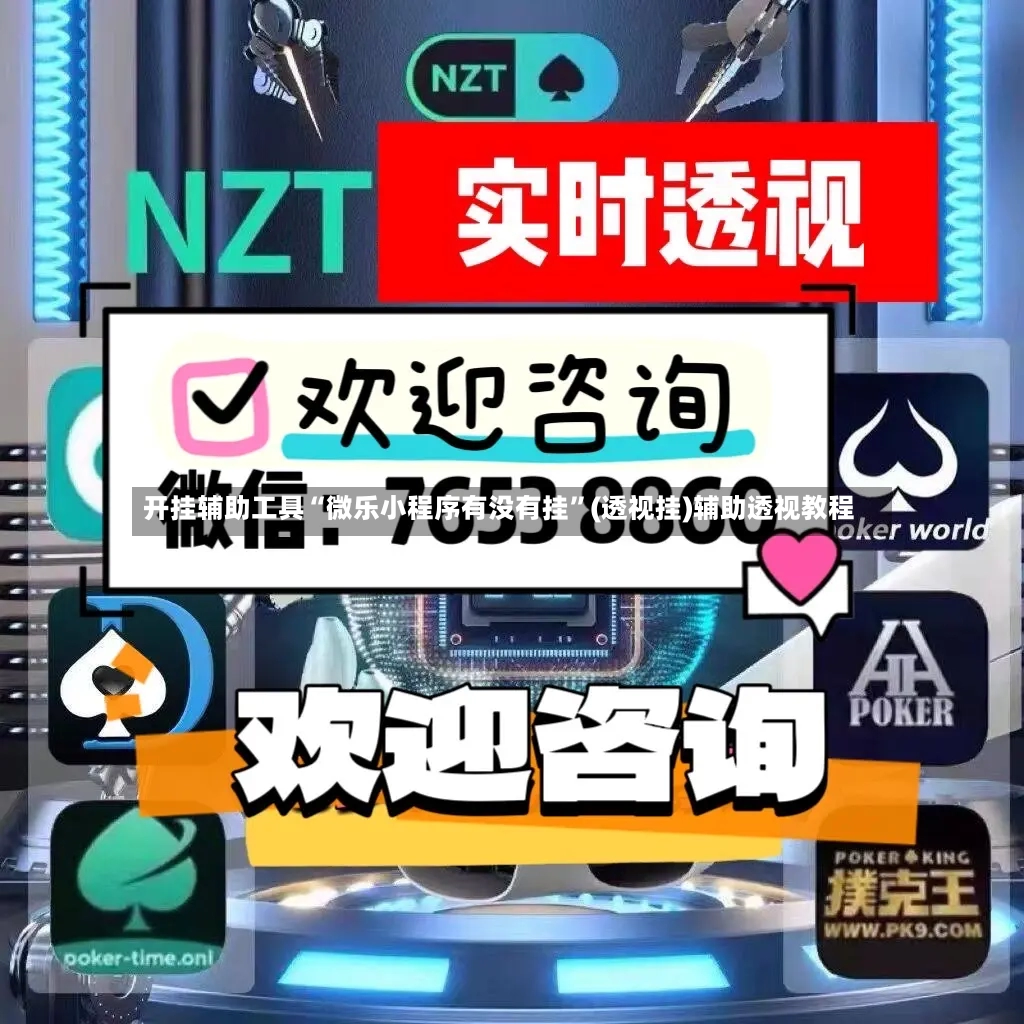 开挂辅助工具“微乐小程序有没有挂	”(透视挂)辅助透视教程-第2张图片