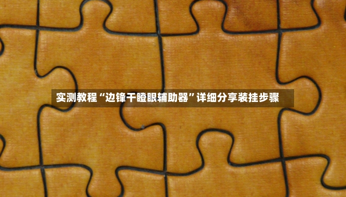 实测教程“边锋干瞪眼辅助器	”详细分享装挂步骤-第2张图片
