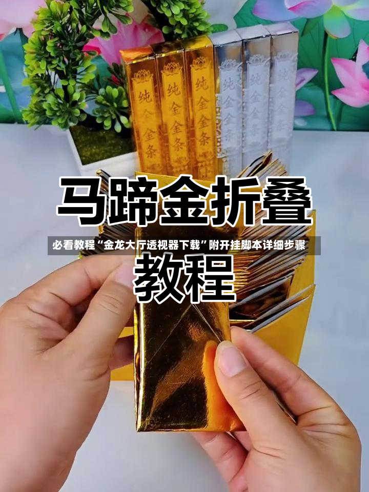 必看教程“金龙大厅透视器下载”附开挂脚本详细步骤-第2张图片