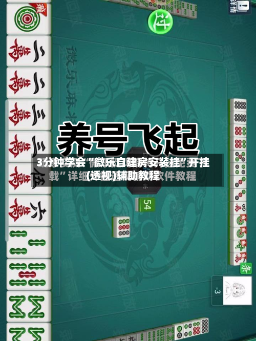 3分钟学会“微乐自建房安装挂”开挂(透视)辅助教程-第3张图片