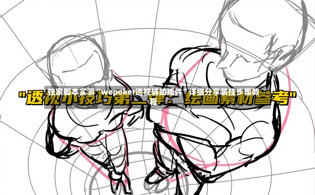 独家脚本实测“wepoker透视辅助插件	”详细分享装挂步骤教程-第2张图片