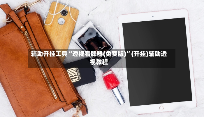 辅助开挂工具“透视看牌器(免费版)	”(开挂)辅助透视教程-第2张图片