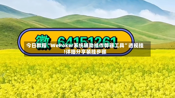 今日教程“WePoker系统辅助挂作弊器工具”透视挂!详细分享装挂步骤-第3张图片