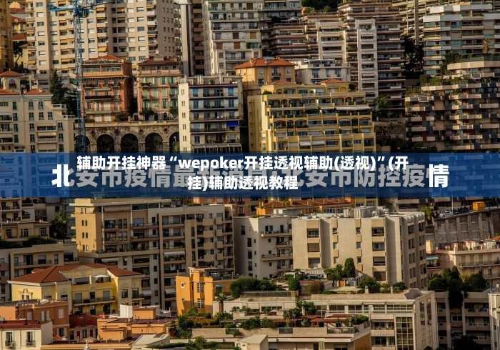 辅助开挂神器“wepoker开挂透视辅助(透视)”(开挂)辅助透视教程-第2张图片