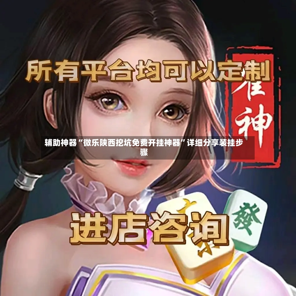 辅助神器“微乐陕西挖坑免费开挂神器”详细分享装挂步骤-第2张图片