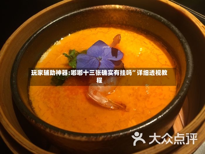 玩家辅助神器:嘟嘟十三张确实有挂吗	”详细透视教程-第2张图片