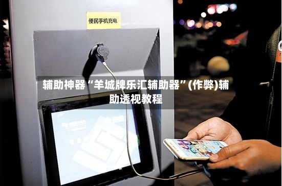 辅助神器“羊城牌乐汇辅助器”(作弊)辅助透视教程