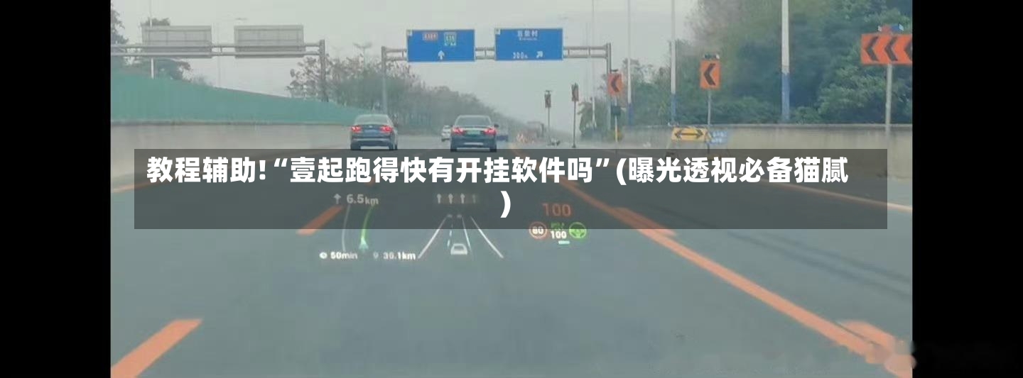 教程辅助!“壹起跑得快有开挂软件吗”(曝光透视必备猫腻)