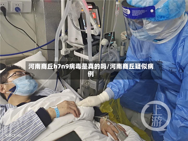 河南商丘h7n9病毒是真的吗/河南商丘疑似病例-第2张图片