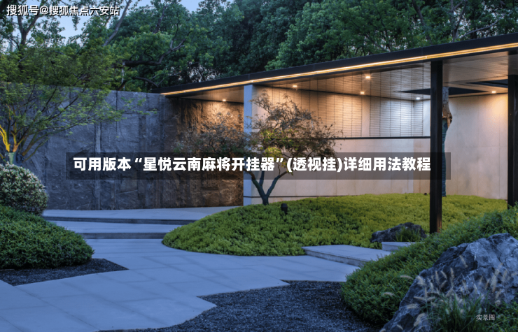 可用版本“星悦云南麻将开挂器”(透视挂)详细用法教程-第2张图片