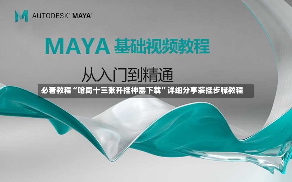 必看教程“哈局十三张开挂神器下载”详细分享装挂步骤教程-第3张图片