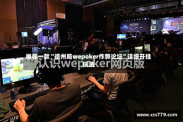 推荐一款“德州局wepoker作弊论坛”详细开挂玩法-第2张图片