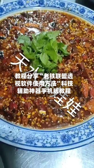 教程分享“老铁联盟透视软件使用方法	”科技辅助神器手机版教程-第2张图片