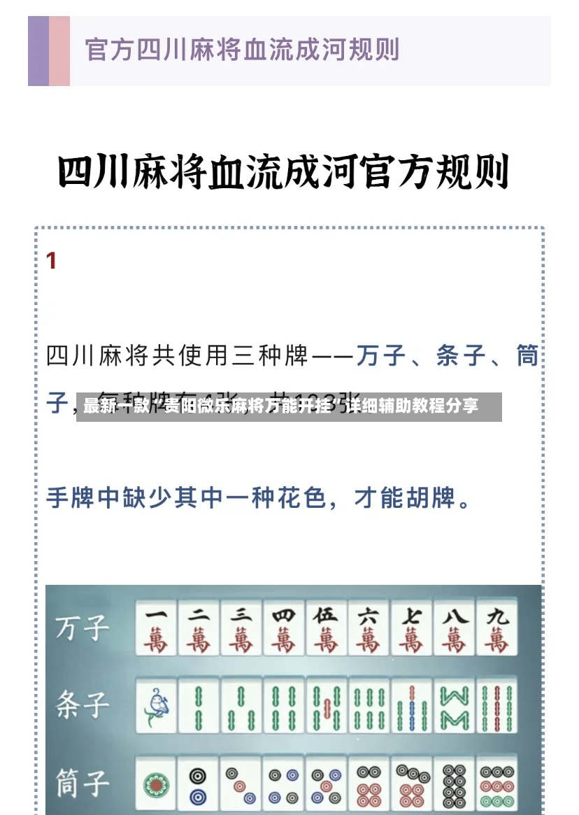 最新一款“贵阳微乐麻将万能开挂	”详细辅助教程分享-第2张图片