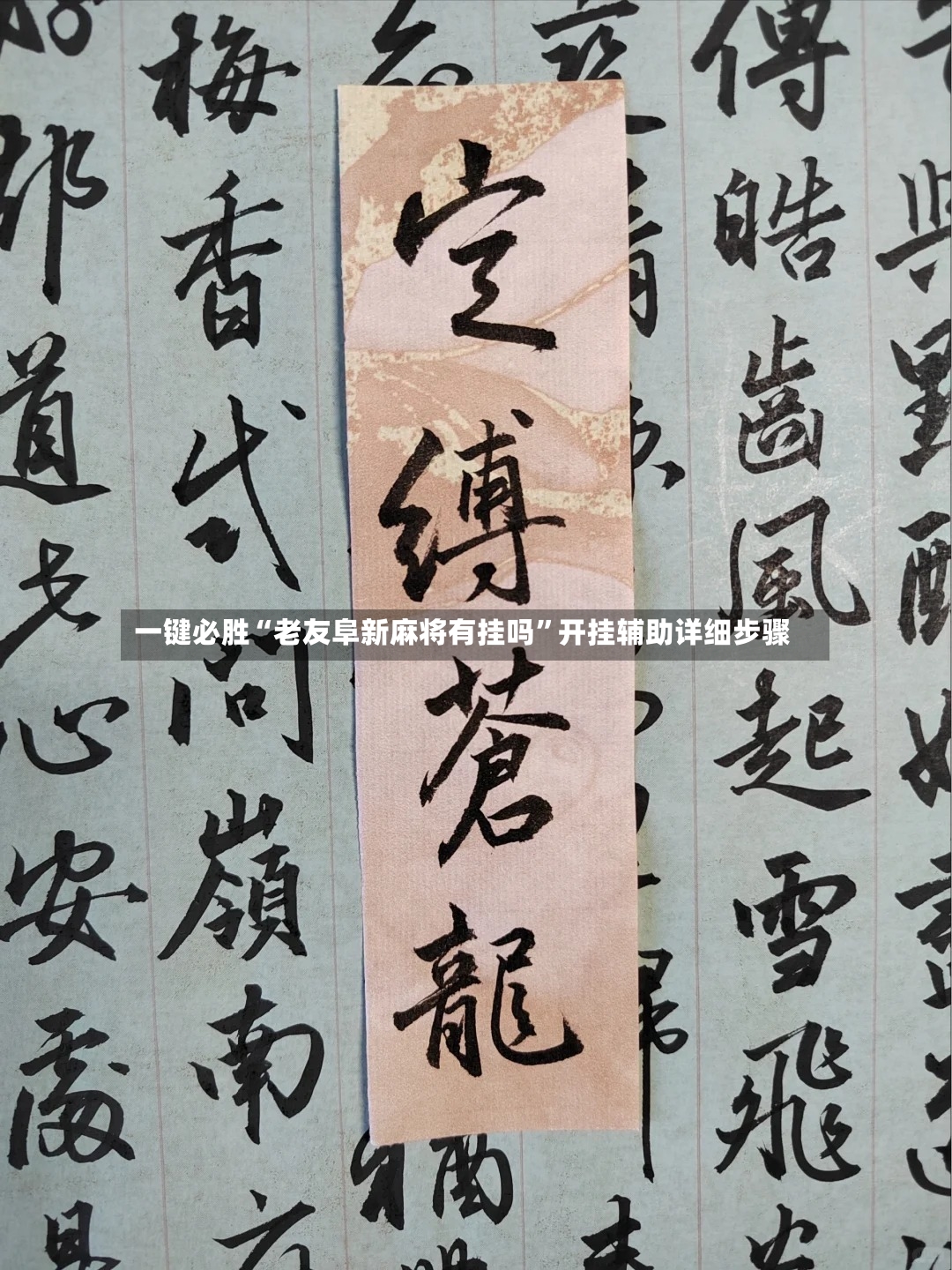 一键必胜“老友阜新麻将有挂吗”开挂辅助详细步骤-第3张图片