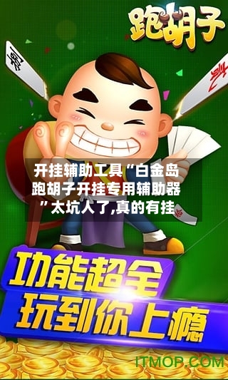 开挂辅助工具“白金岛跑胡子开挂专用辅助器”太坑人了,真的有挂-第2张图片