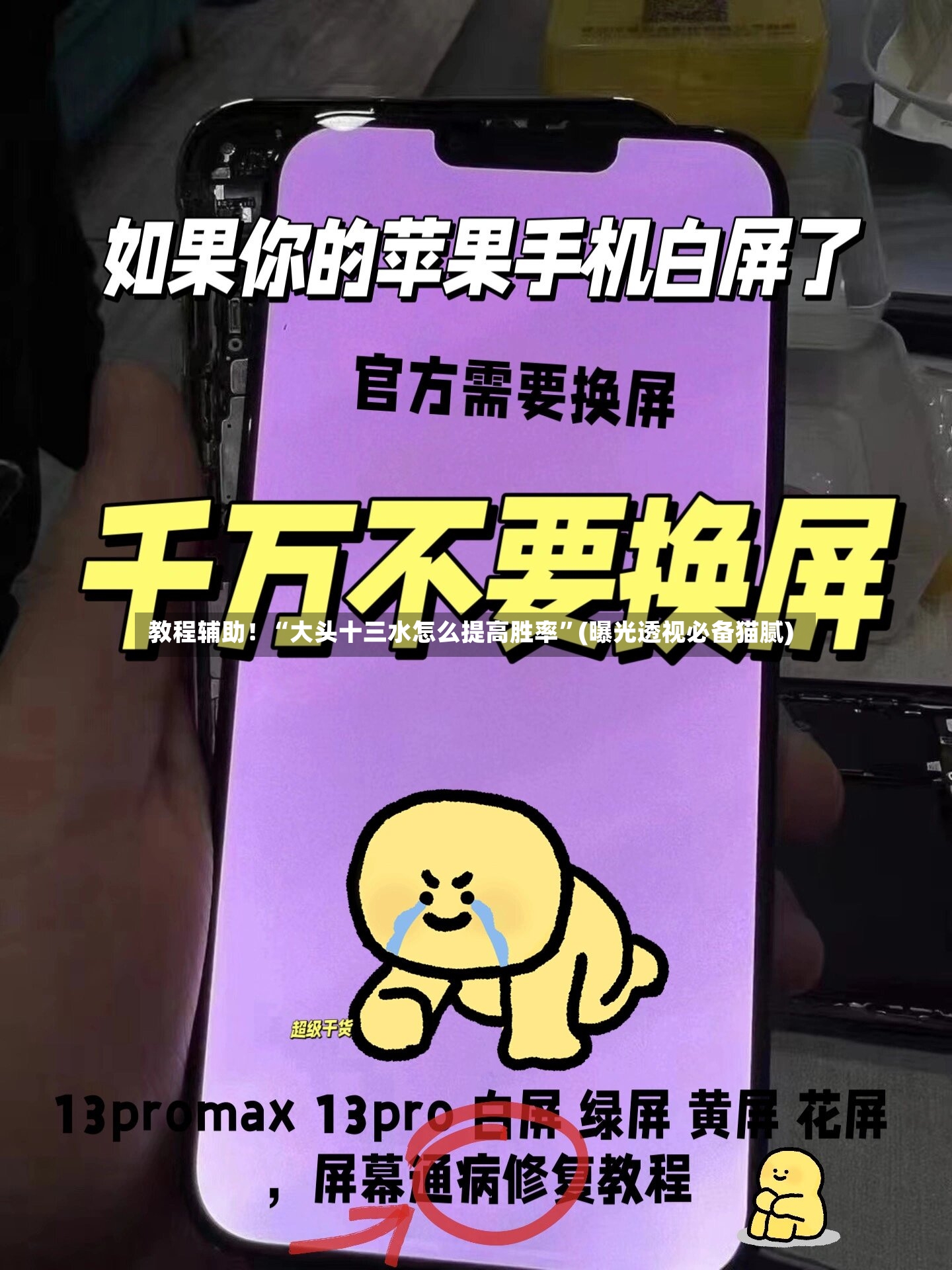 教程辅助！“大头十三水怎么提高胜率”(曝光透视必备猫腻)