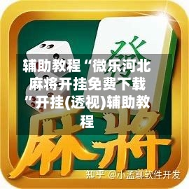 辅助教程“微乐河北麻将开挂免费下载	”开挂(透视)辅助教程-第2张图片