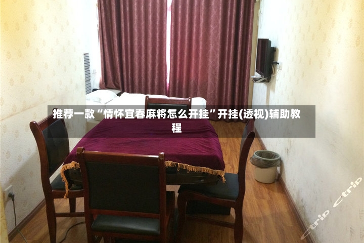 推荐一款“情怀宜春麻将怎么开挂”开挂(透视)辅助教程-第3张图片