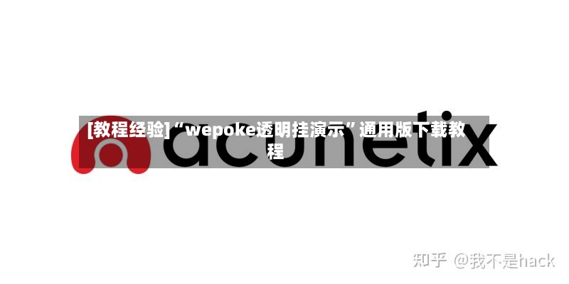 [教程经验]“wepoke透明挂演示	”通用版下载教程-第3张图片
