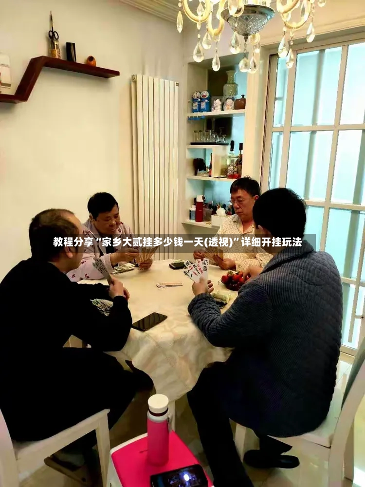 教程分享“家乡大贰挂多少钱一天(透视)”详细开挂玩法-第2张图片