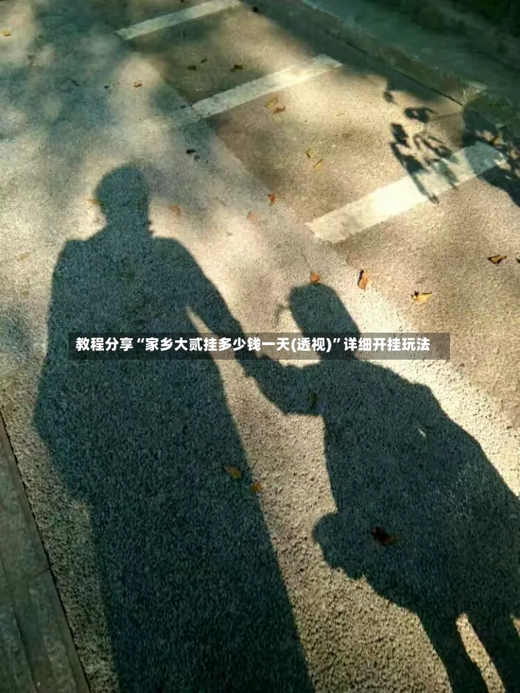 教程分享“家乡大贰挂多少钱一天(透视)”详细开挂玩法-第3张图片
