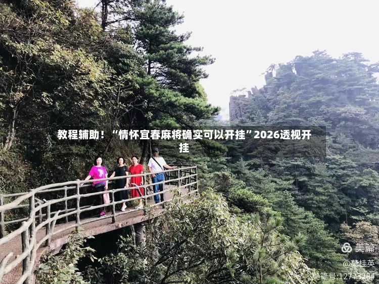 教程辅助！“情怀宜春麻将确实可以开挂	”2026透视开挂-第3张图片