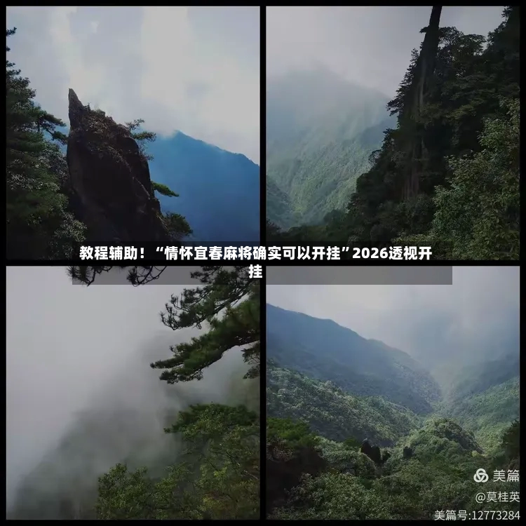 教程辅助！“情怀宜春麻将确实可以开挂”2026透视开挂-第2张图片