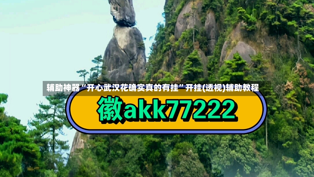 辅助神器“开心武汉花确实真的有挂”开挂(透视)辅助教程