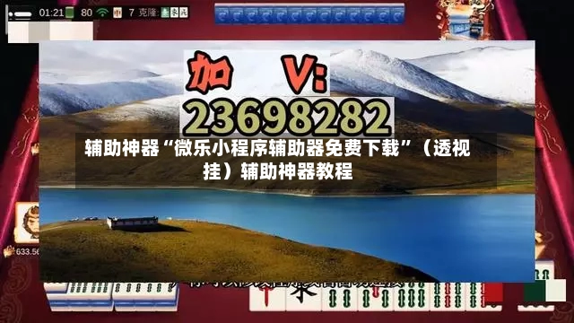 辅助神器“微乐小程序辅助器免费下载”（透视挂）辅助神器教程