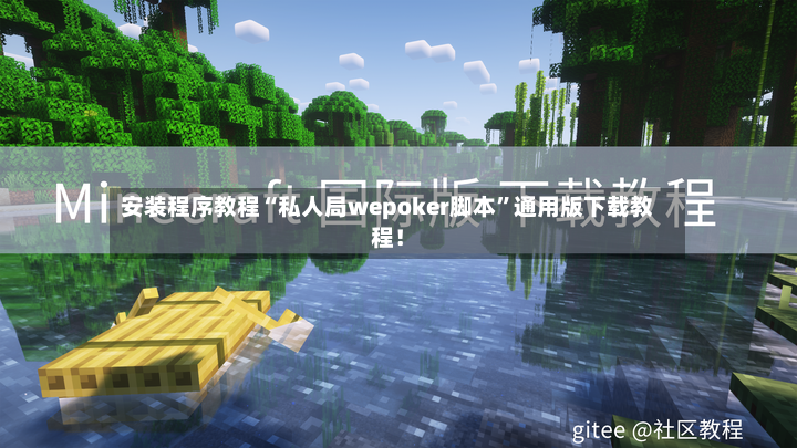 安装程序教程“私人局wepoker脚本”通用版下载教程！-第2张图片