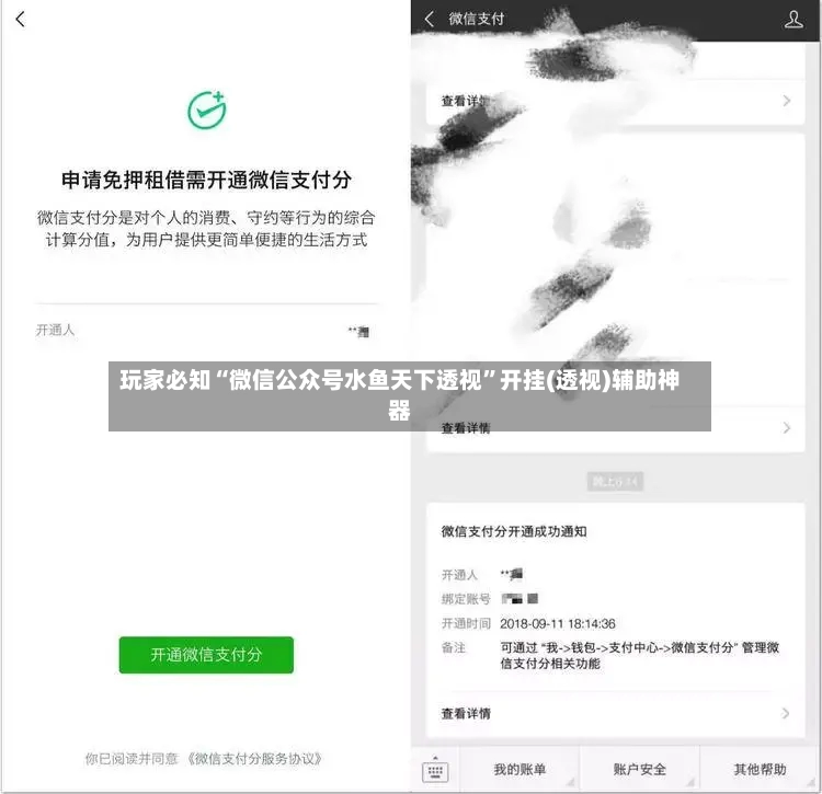 玩家必知“微信公众号水鱼天下透视”开挂(透视)辅助神器-第2张图片