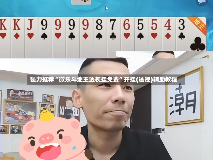 强力推荐“微乐斗地主透视挂免费”开挂(透视)辅助教程-第3张图片