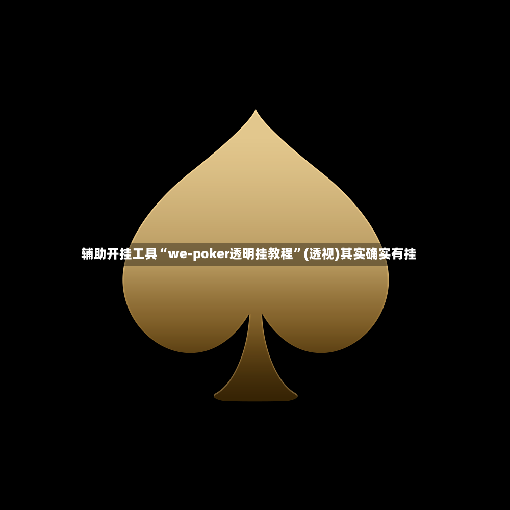 辅助开挂工具“we-poker透明挂教程”(透视)其实确实有挂-第2张图片